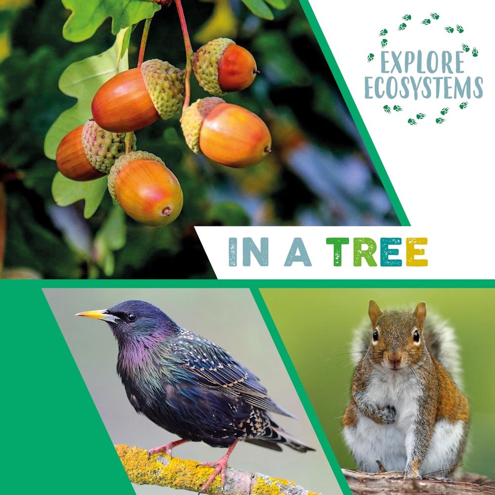 Explore Ecosystems: In a Tree by Sarah Ridley - ISBN: 9781526322487