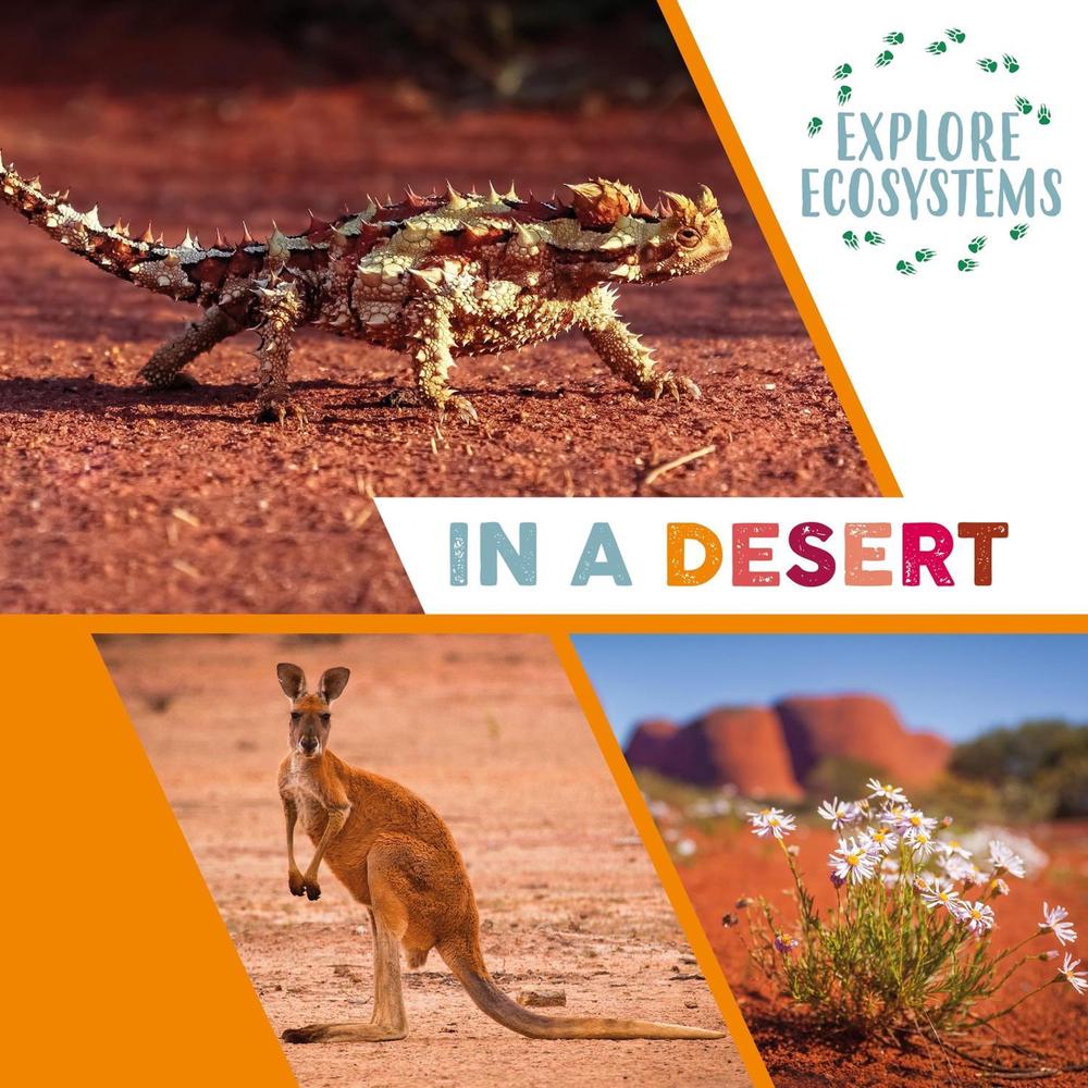 Explore Ecosystems: In a Desert by Sarah Ridley - ISBN: 9781526322494