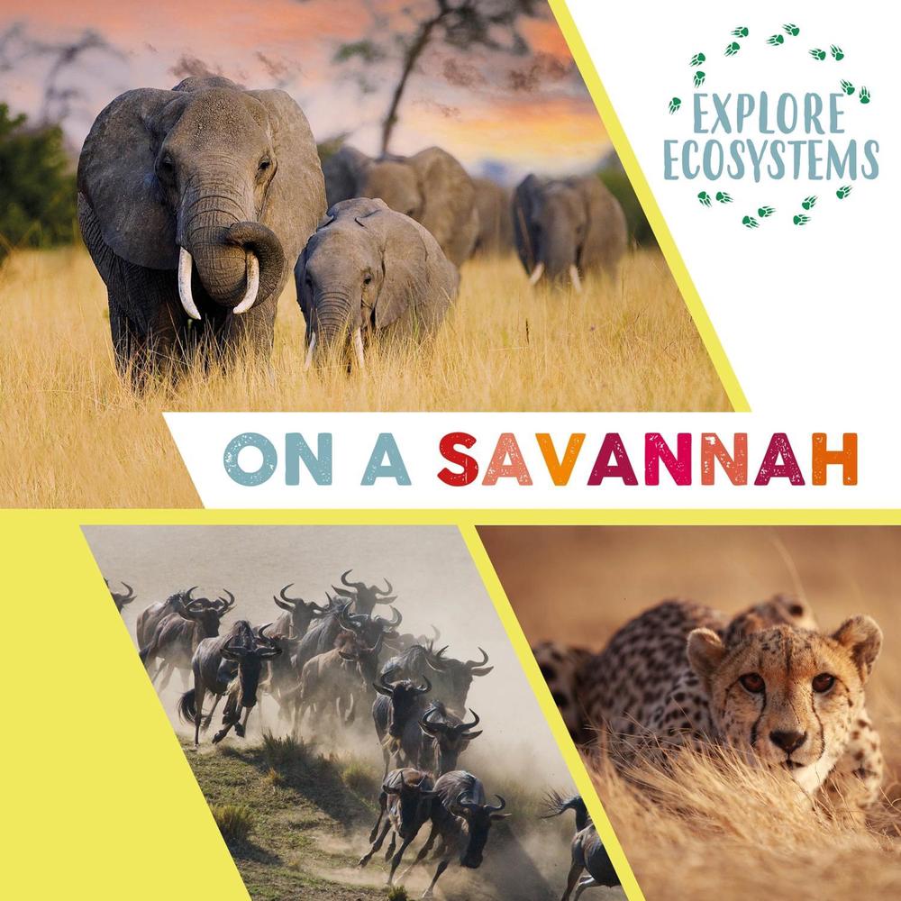 Explore Ecosystems: On a Savannah by Sarah Ridley - ISBN: 9781526322548