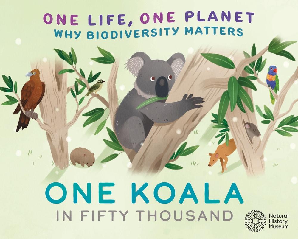One Life, One Planet: One Koala in Fifty Thousand by Sarah Ridley - ISBN: 9781526322944