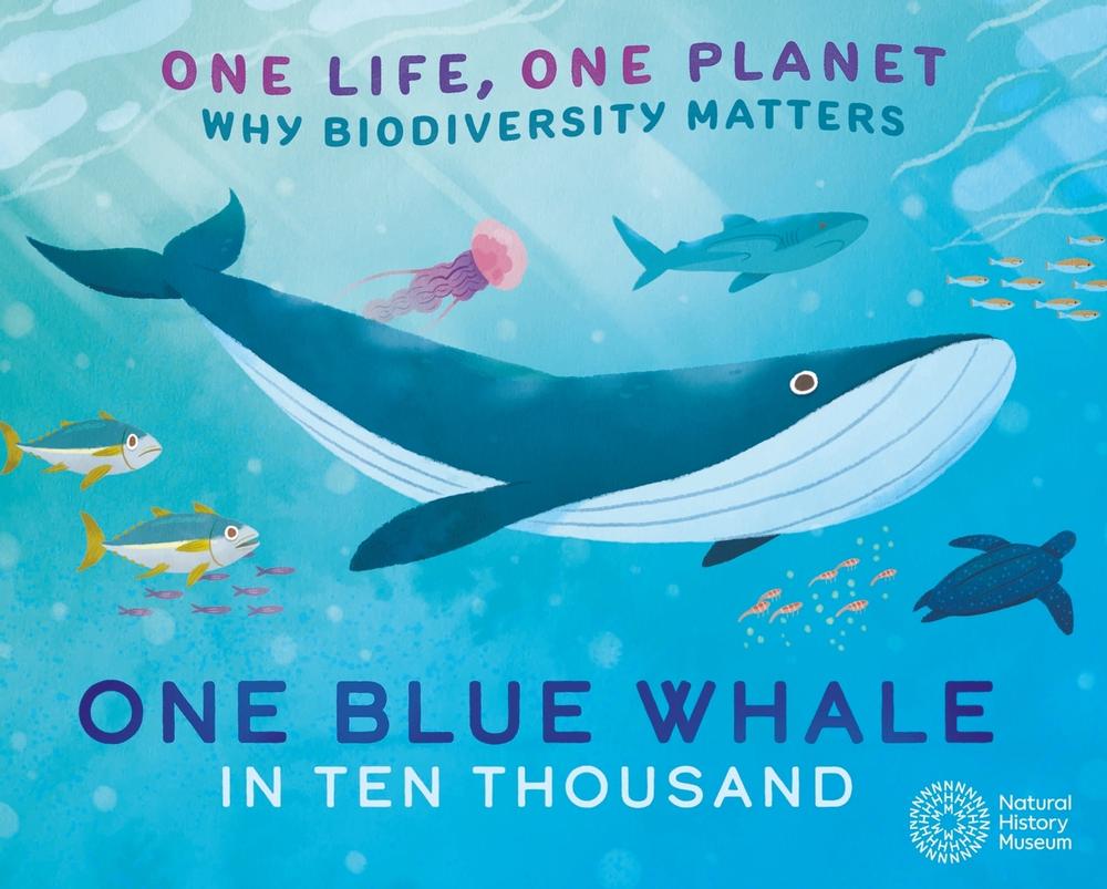 One Life, One Planet: One Blue Whale in Ten Thousand, 9781526323071
