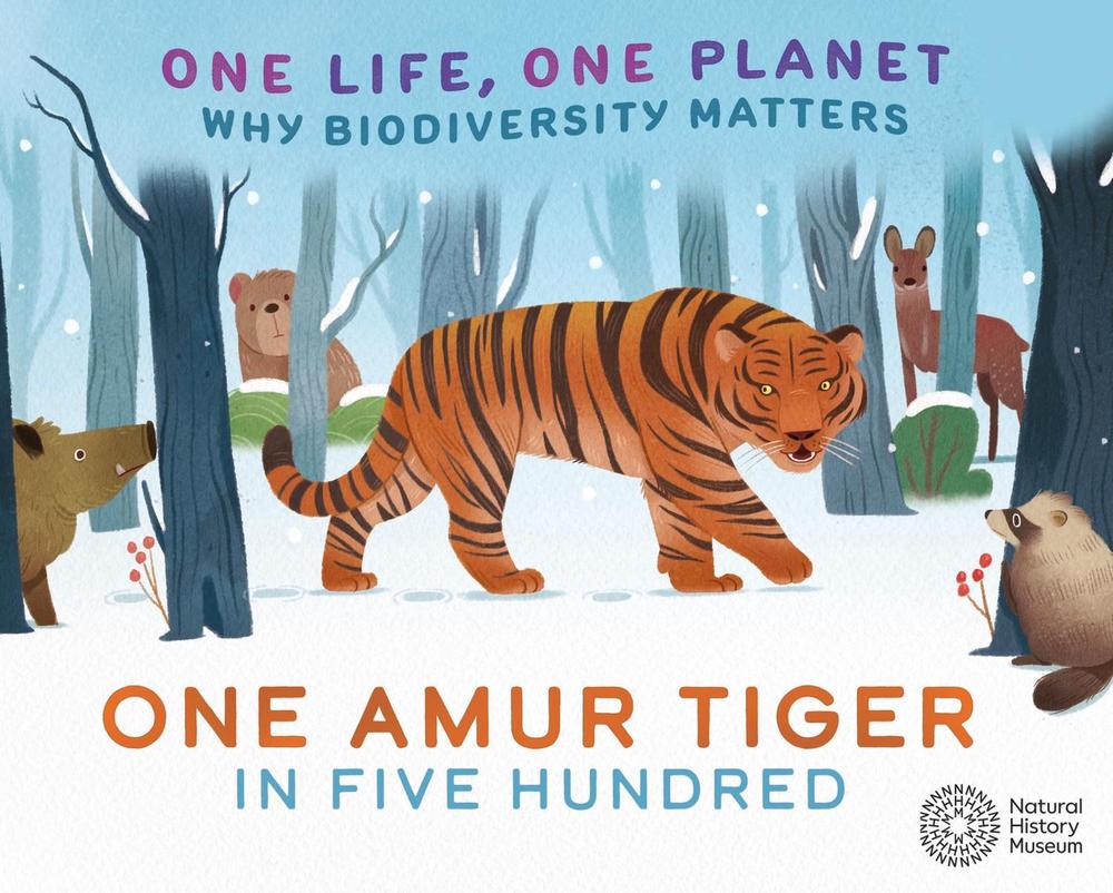 One Life, One Planet: One Amur Tiger in Five Hundred by Sarah Ridley - ISBN: 9781526323088