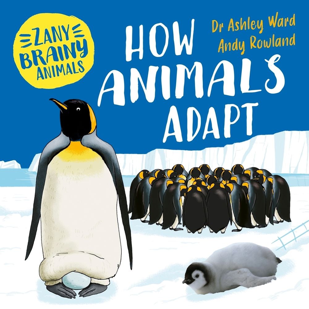 Zany Brainy Animals: How Animals Adapt by Ashley Ward - ISBN: 9781526323965