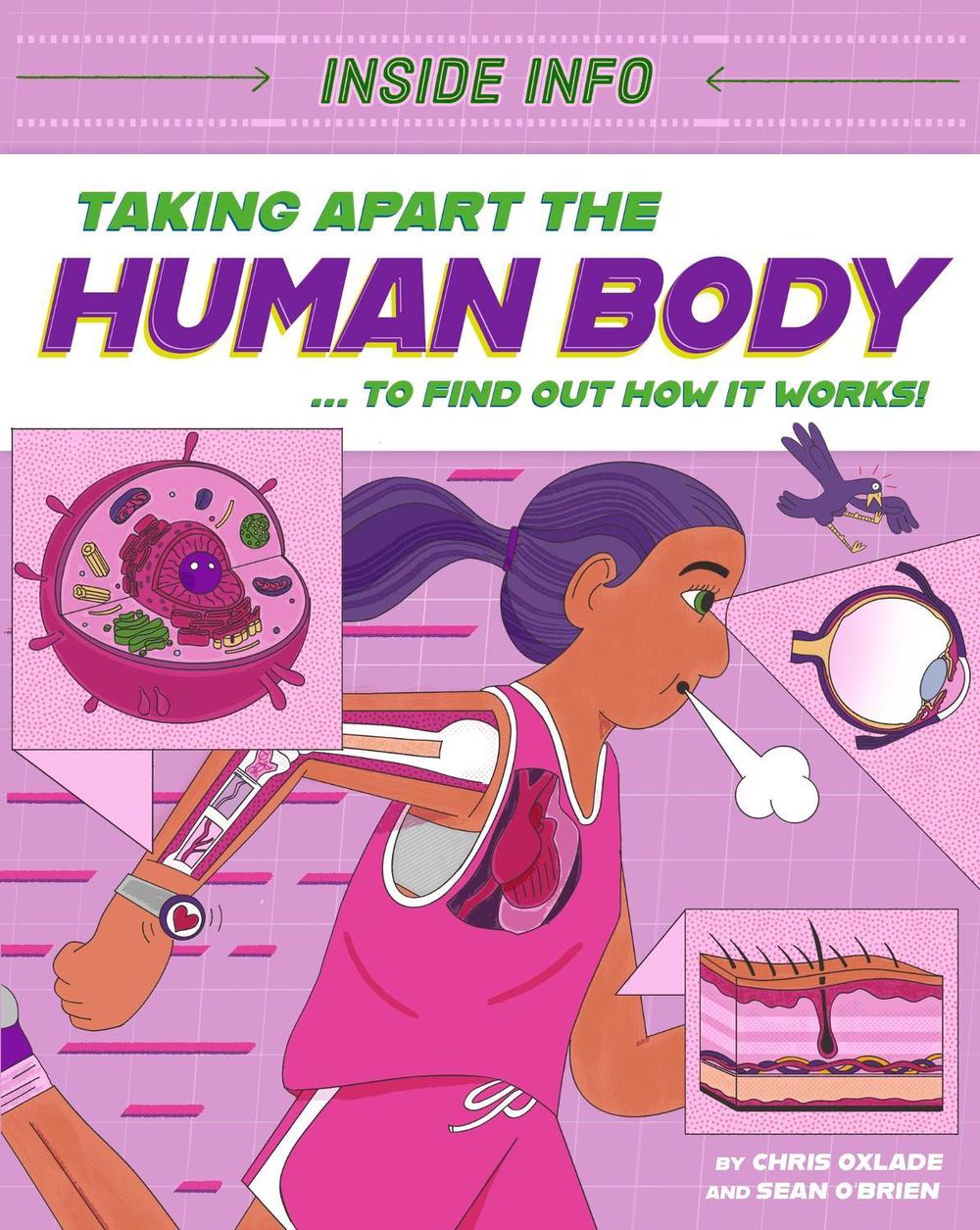 Inside Info: Taking Apart the Human Body by Chris Oxlade - ISBN: 9781526327000