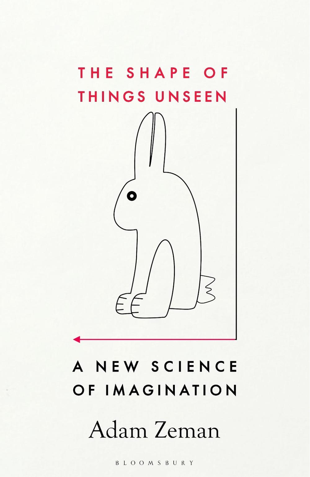 The Shape of Things Unseen by Adam Zeman - ISBN: 9781526609748