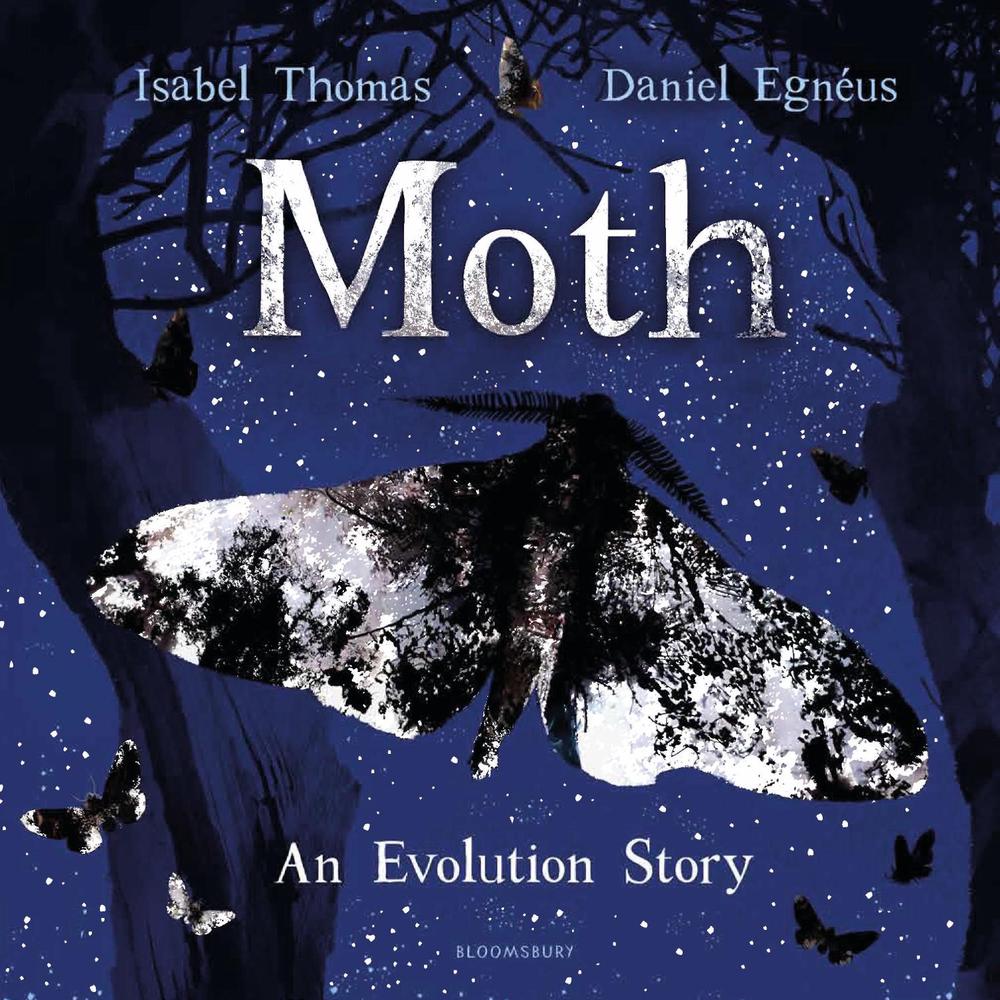 Cover of Moth: An Evolution Story
