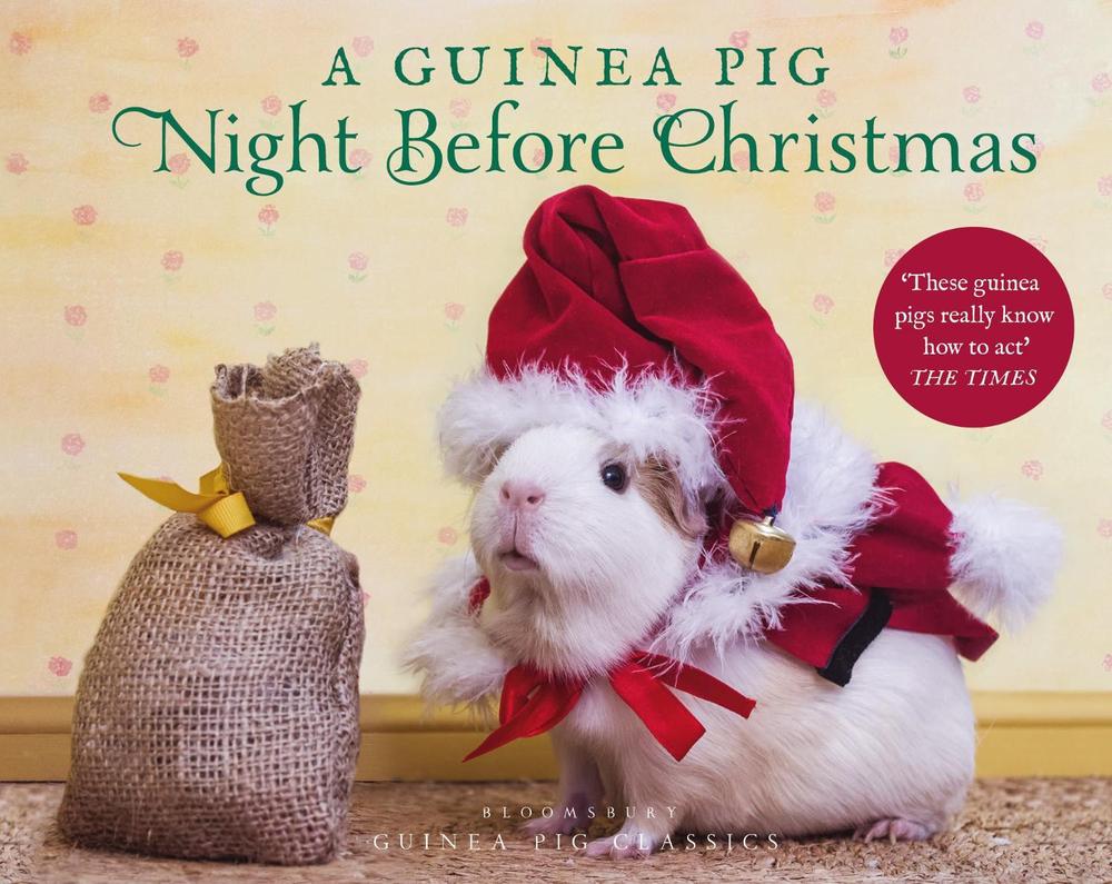 A Guinea Pig Night Before Christmas, 9781526613561