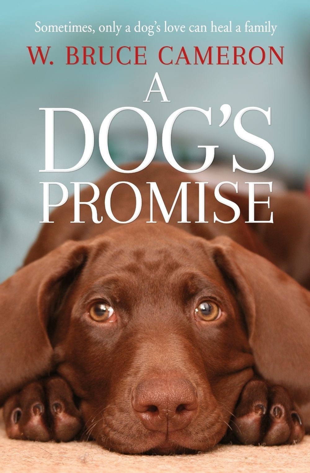 A Dog's Promise by W. Bruce Cameron - ISBN: 9781529010084