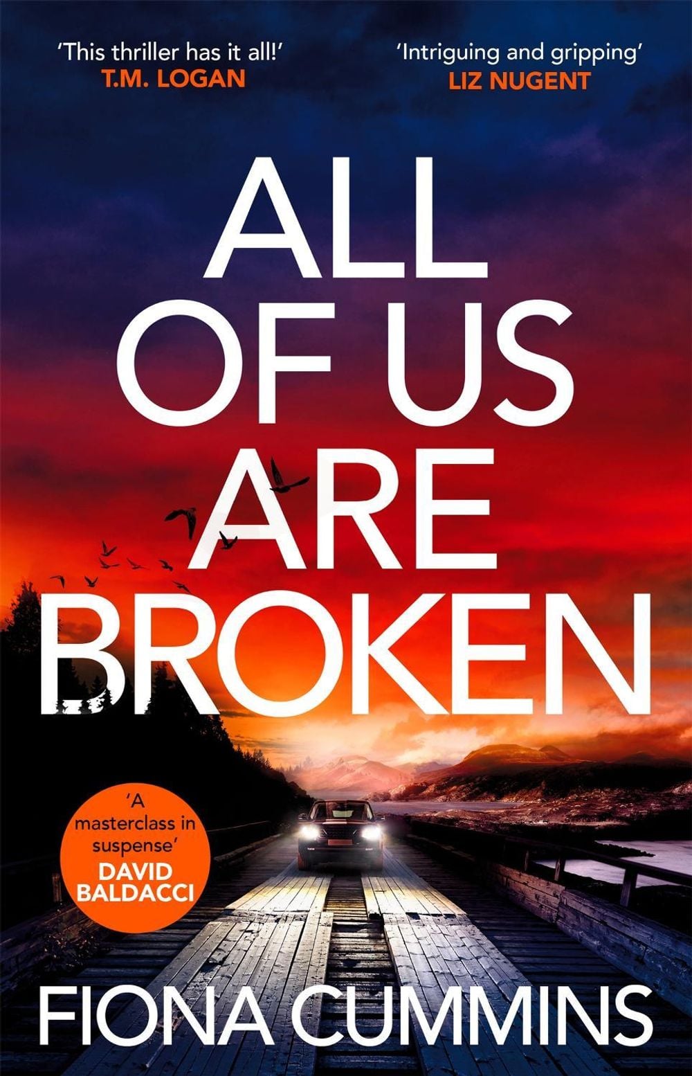 All Of Us Are Broken by Fiona Cummins - ISBN: 9781529040203