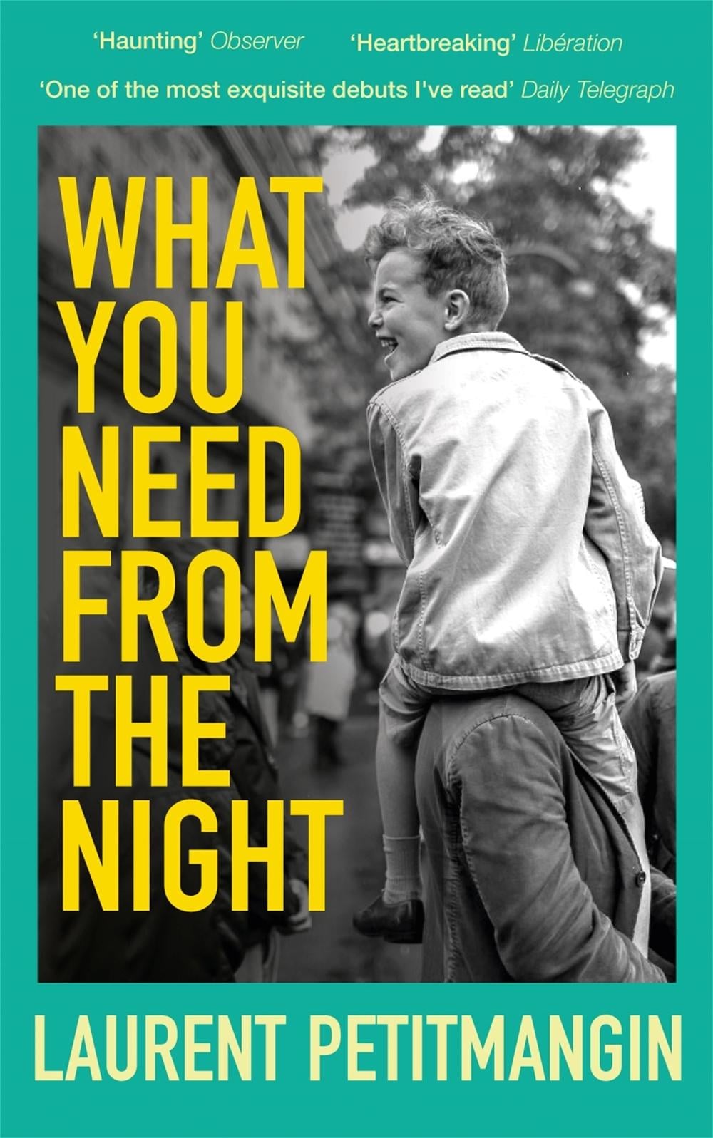 What You Need From The Night by Laurent Petitmangin - ISBN: 9781529063523