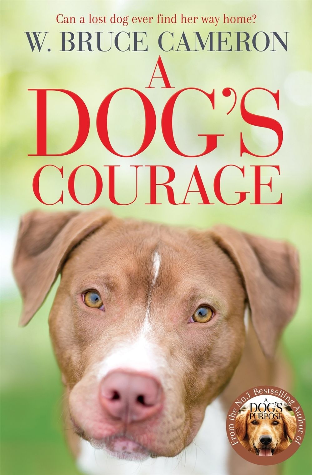 A Dog's Courage by W. Bruce Cameron - ISBN: 9781529075854