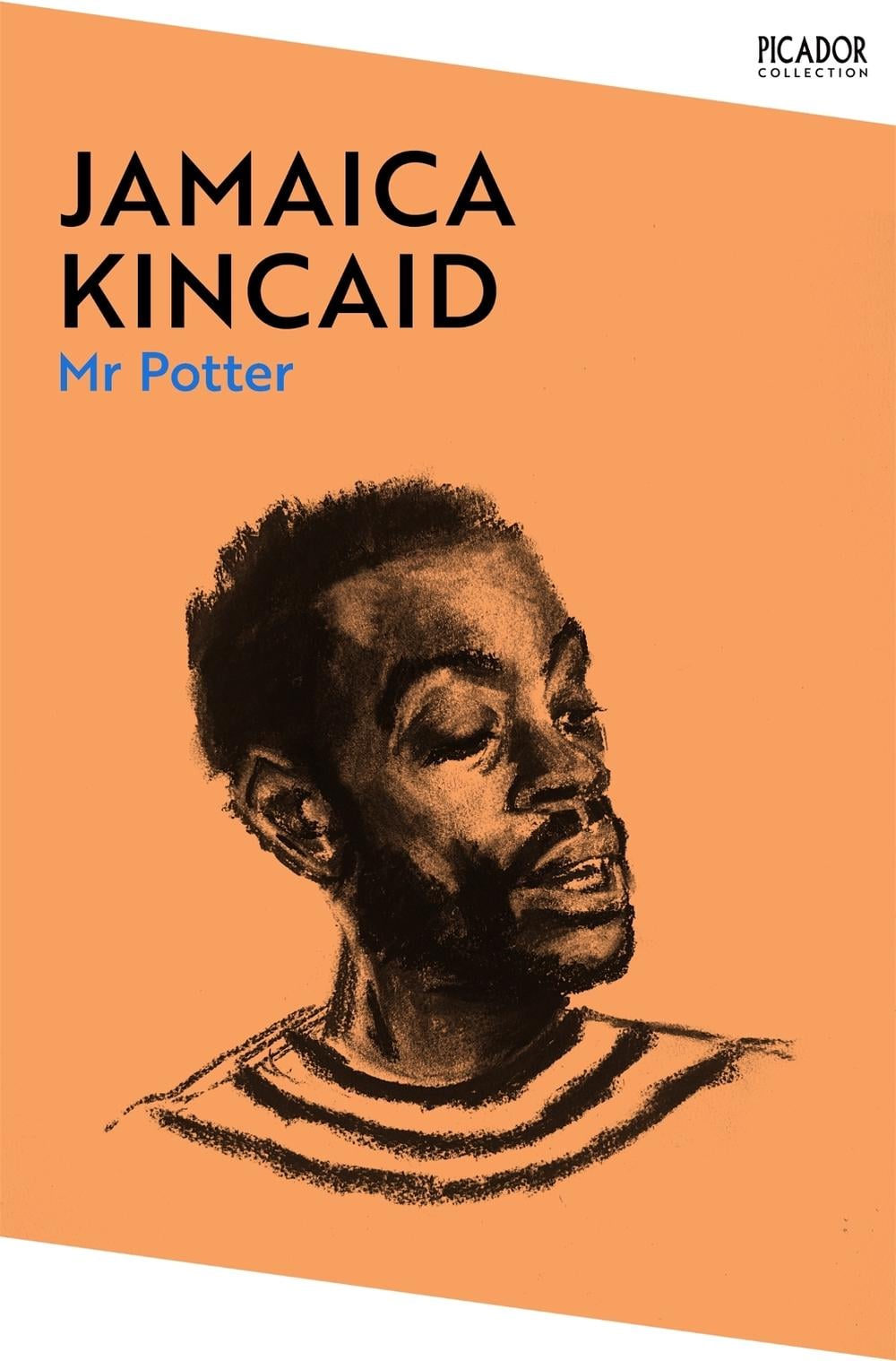 Mr Potter by Jamaica Kincaid - ISBN: 9781529076684
