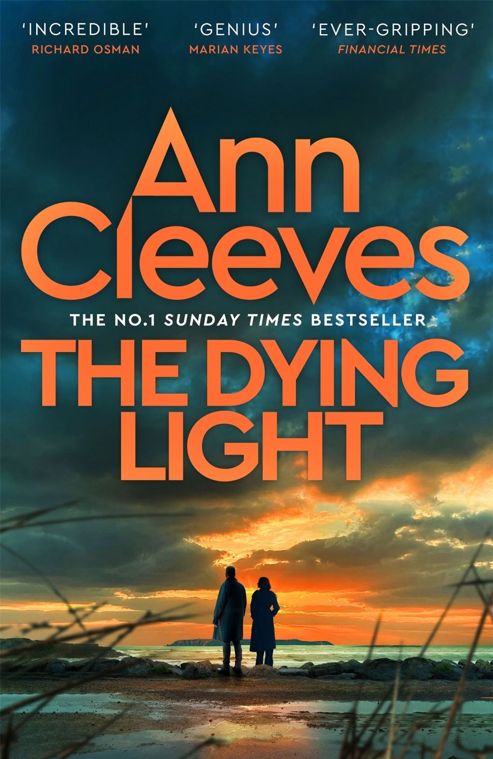 The Dying Light by Ann Cleeves - ISBN: 9781529077797