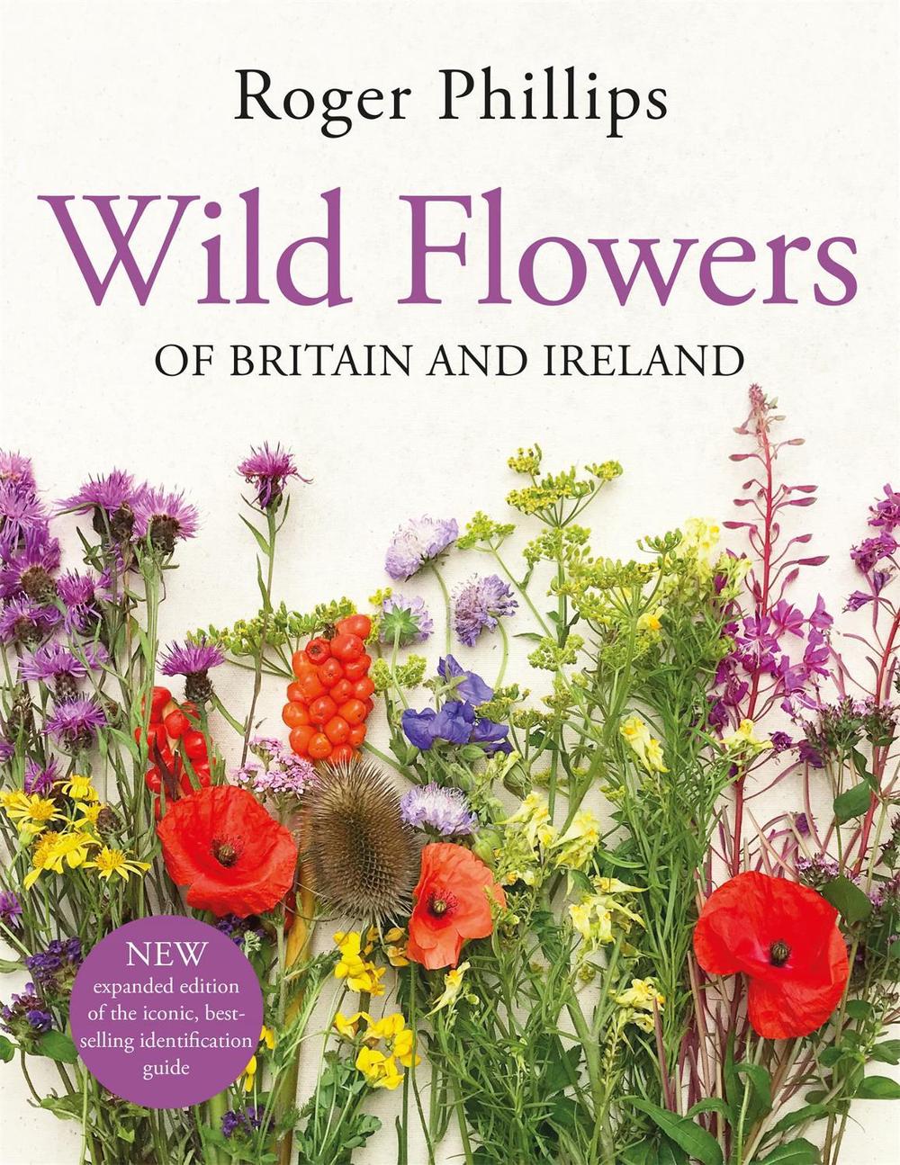 Wild Flowers, 9781529082203