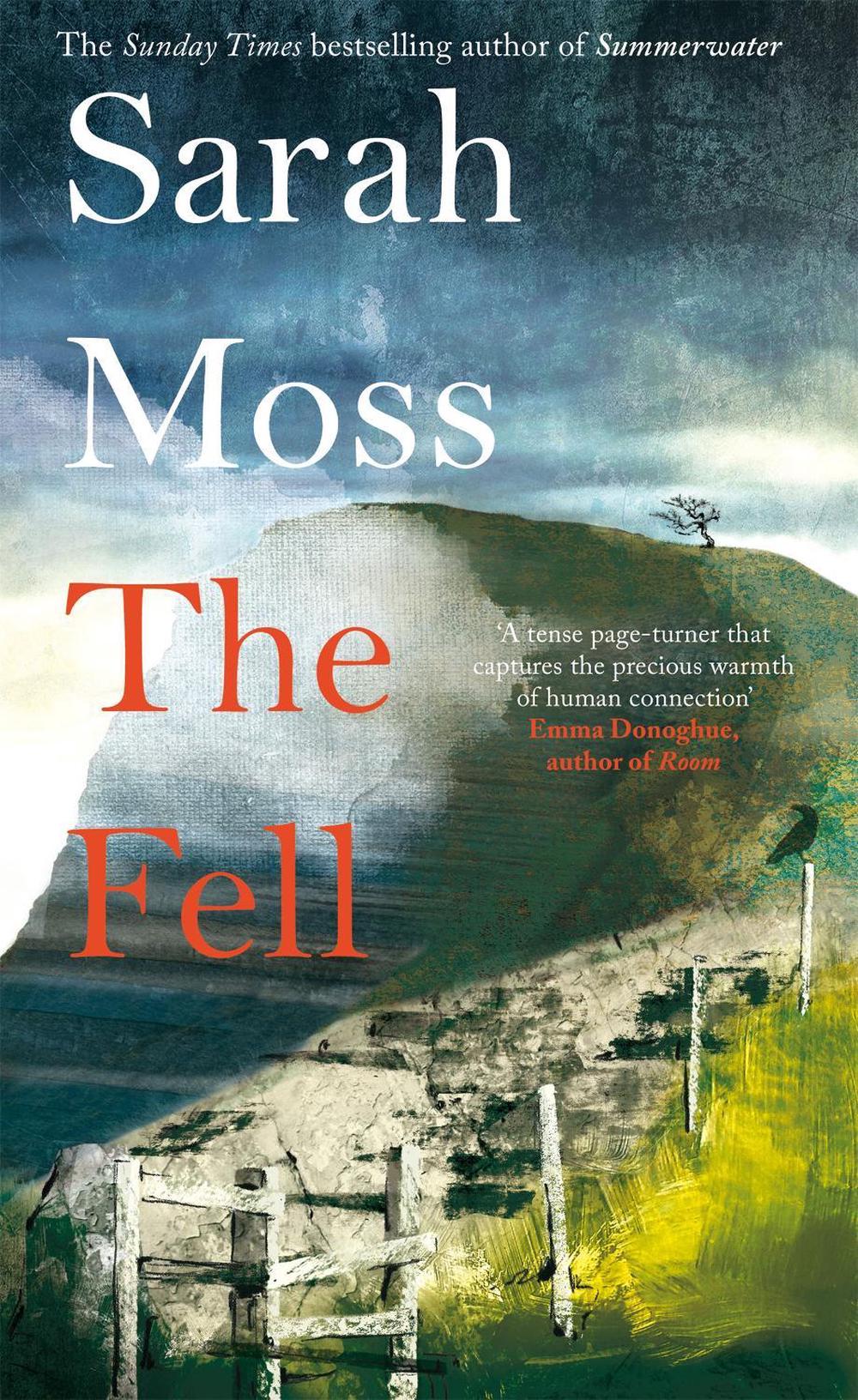 The Fell, 9781529085440