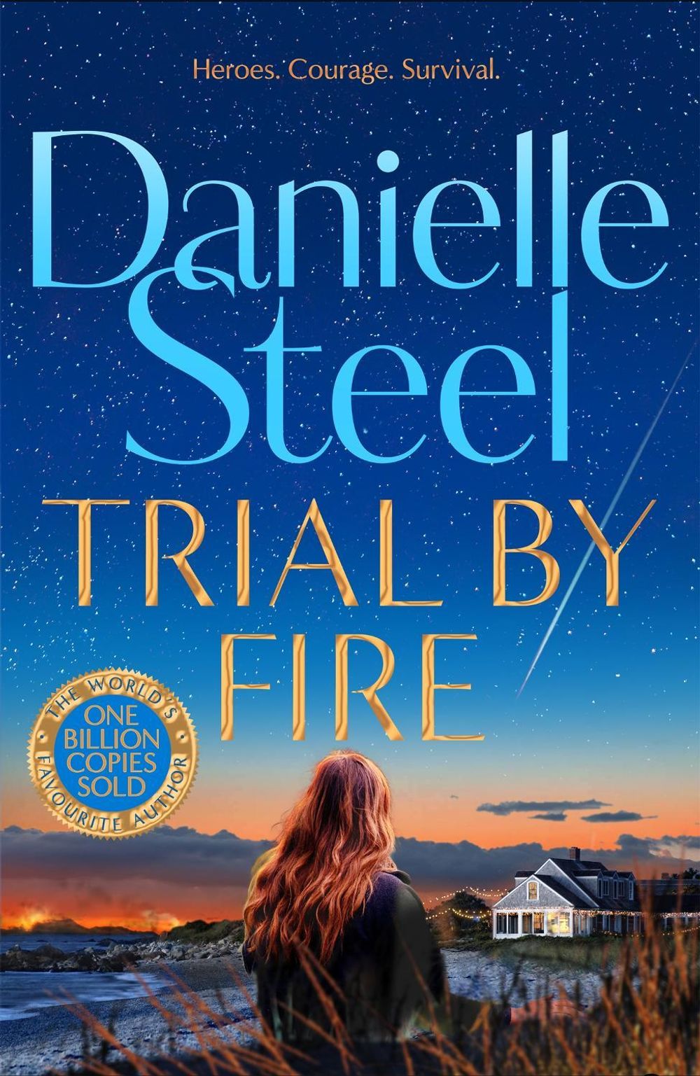 Trial by Fire by Danielle Steel - ISBN: 9781529085662