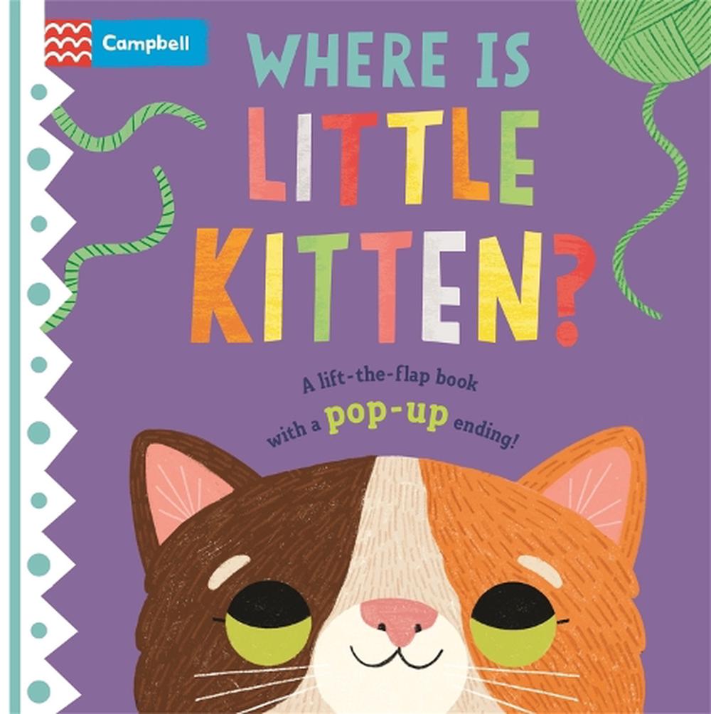 where-is-little-kitten-by-campbell-books-board-books-9781529098419