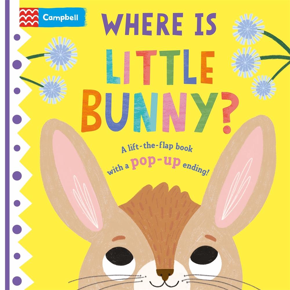 Where is Little Bunny? by Campbell Books - ISBN: 9781529098433