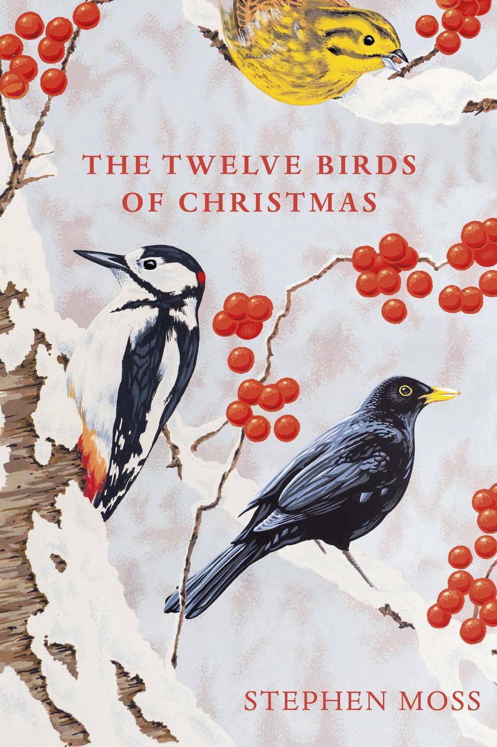The Twelve Birds of Christmas, 9781529110104