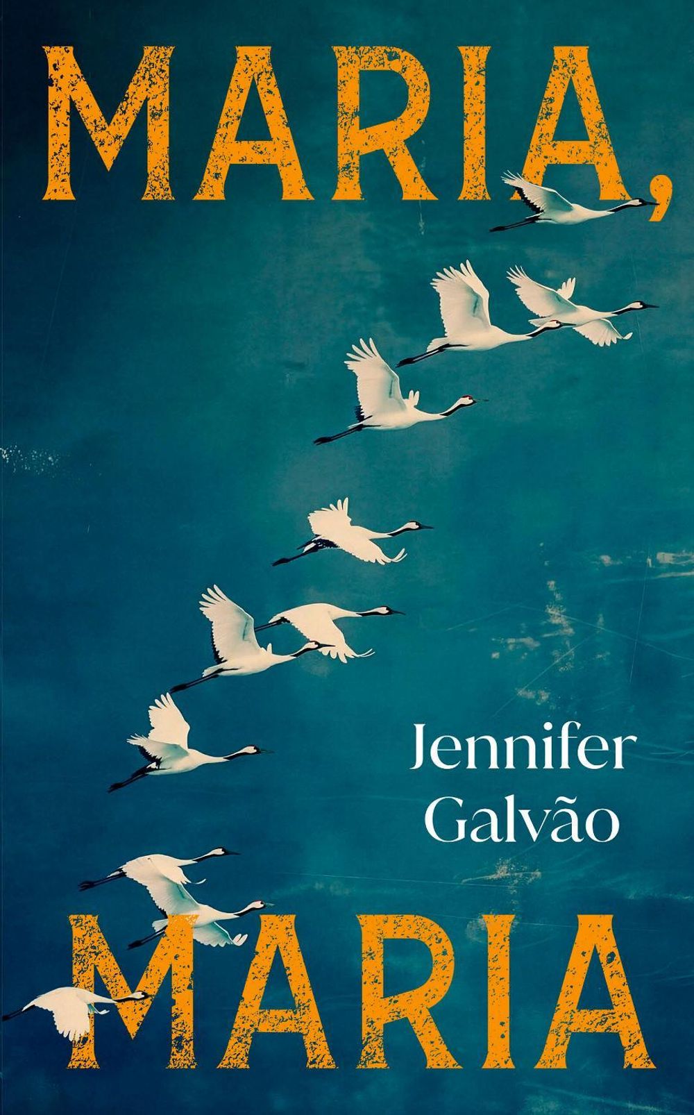 Maria, Maria by Jennifer Galvao - ISBN: 9781529155846