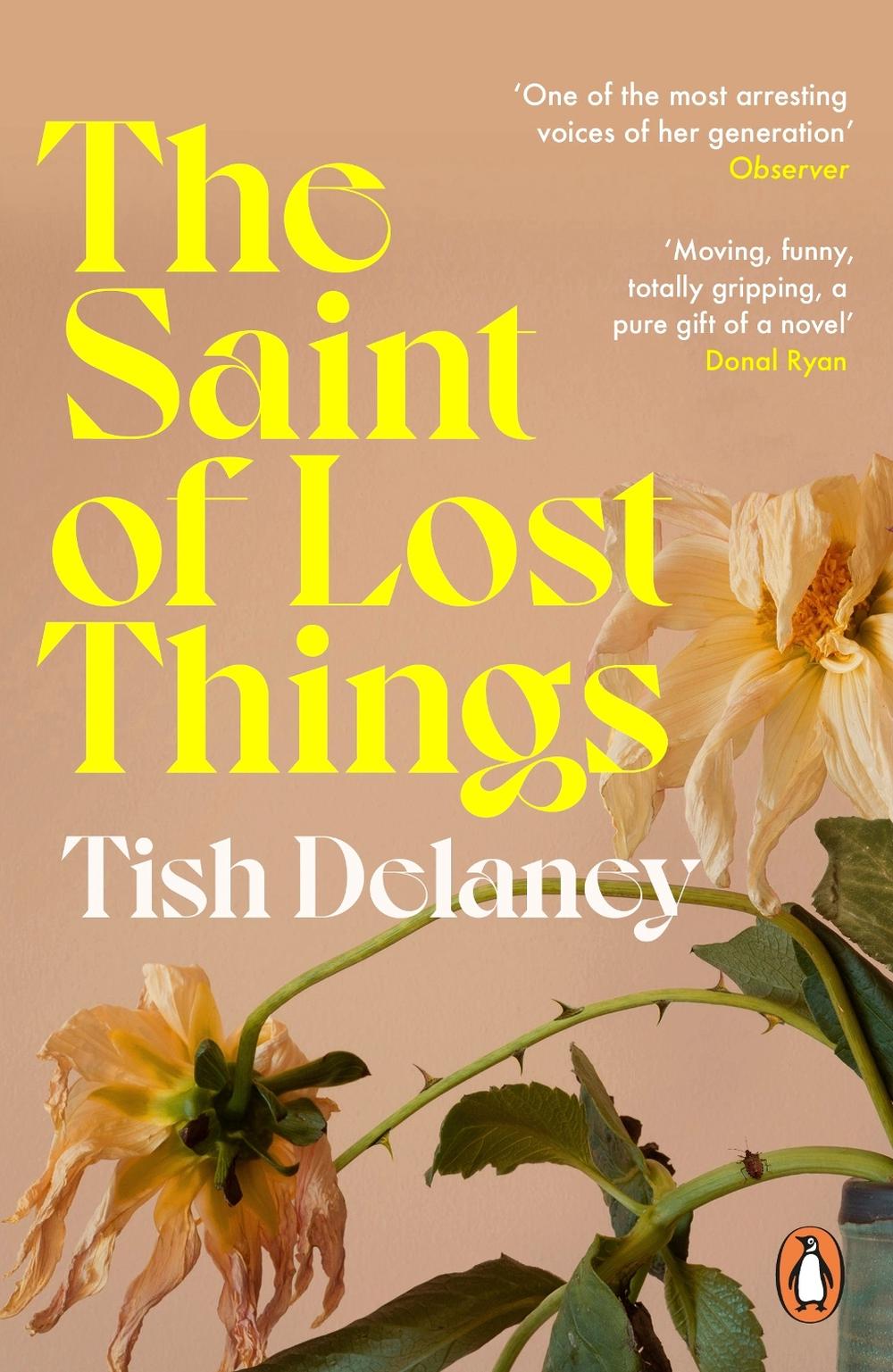 The Saint of Lost Things by Tish Delaney - ISBN: 9781529158687
