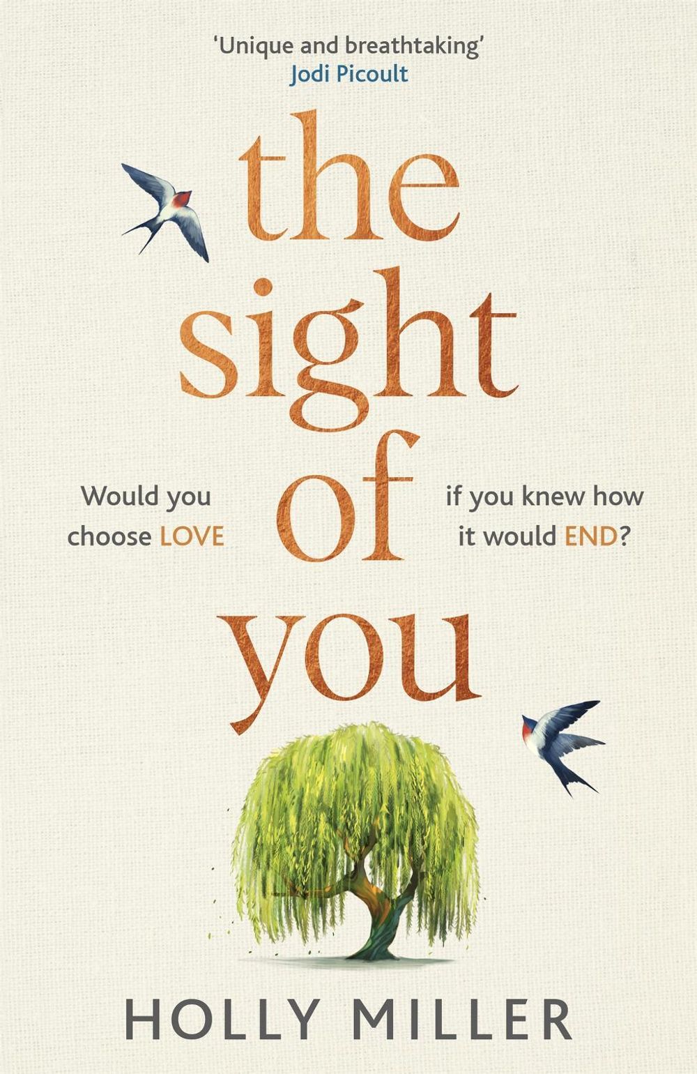 The Sight of You by Holly Miller - ISBN: 9781529324341