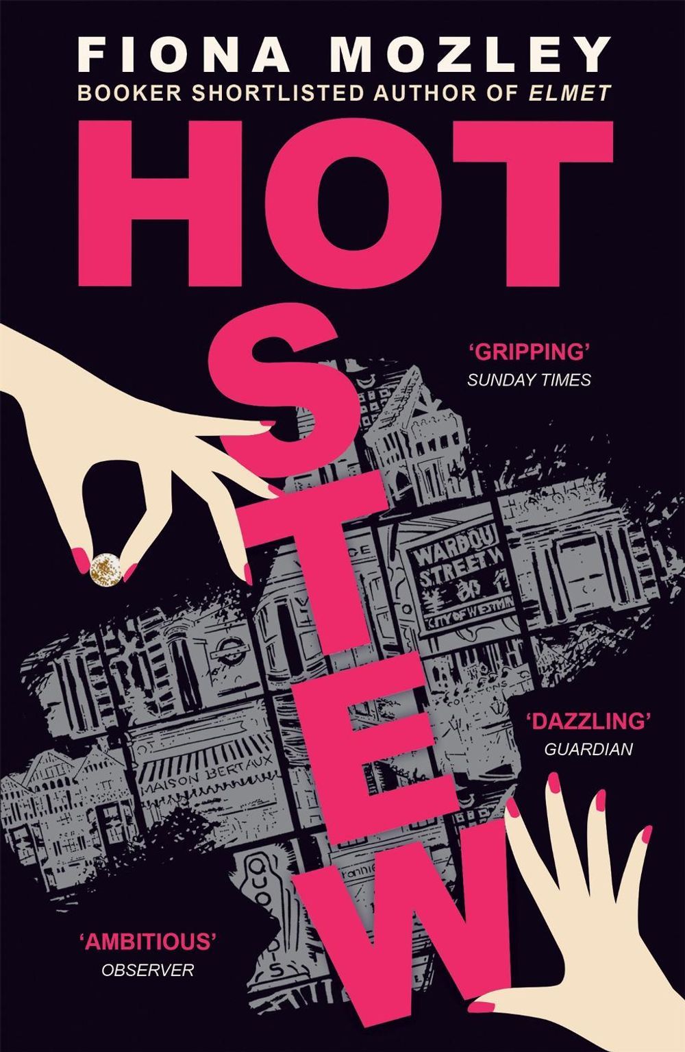 Hot Stew by Fiona Mozley - ISBN: 9781529327243
