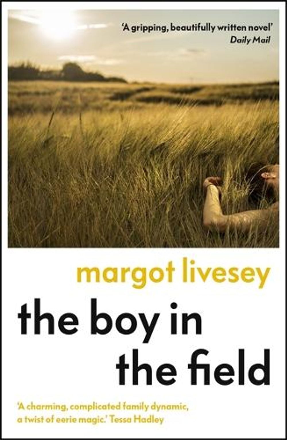The Boy in the Field by Margot Livesey - ISBN: 9781529339147