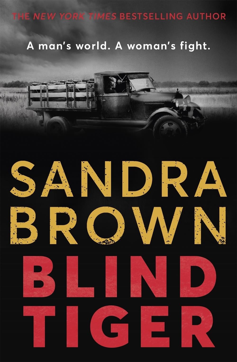 Blind Tiger by Sandra Brown - ISBN: 9781529341737