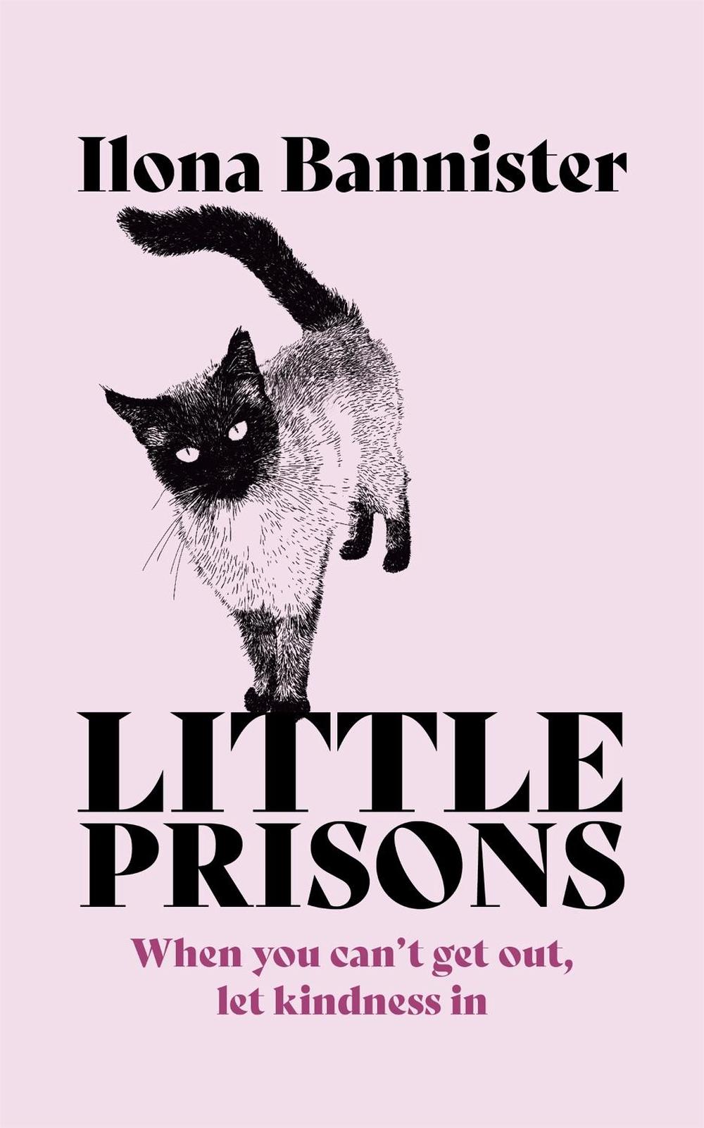 Little Prisons by Ilona Bannister - ISBN: 9781529353907