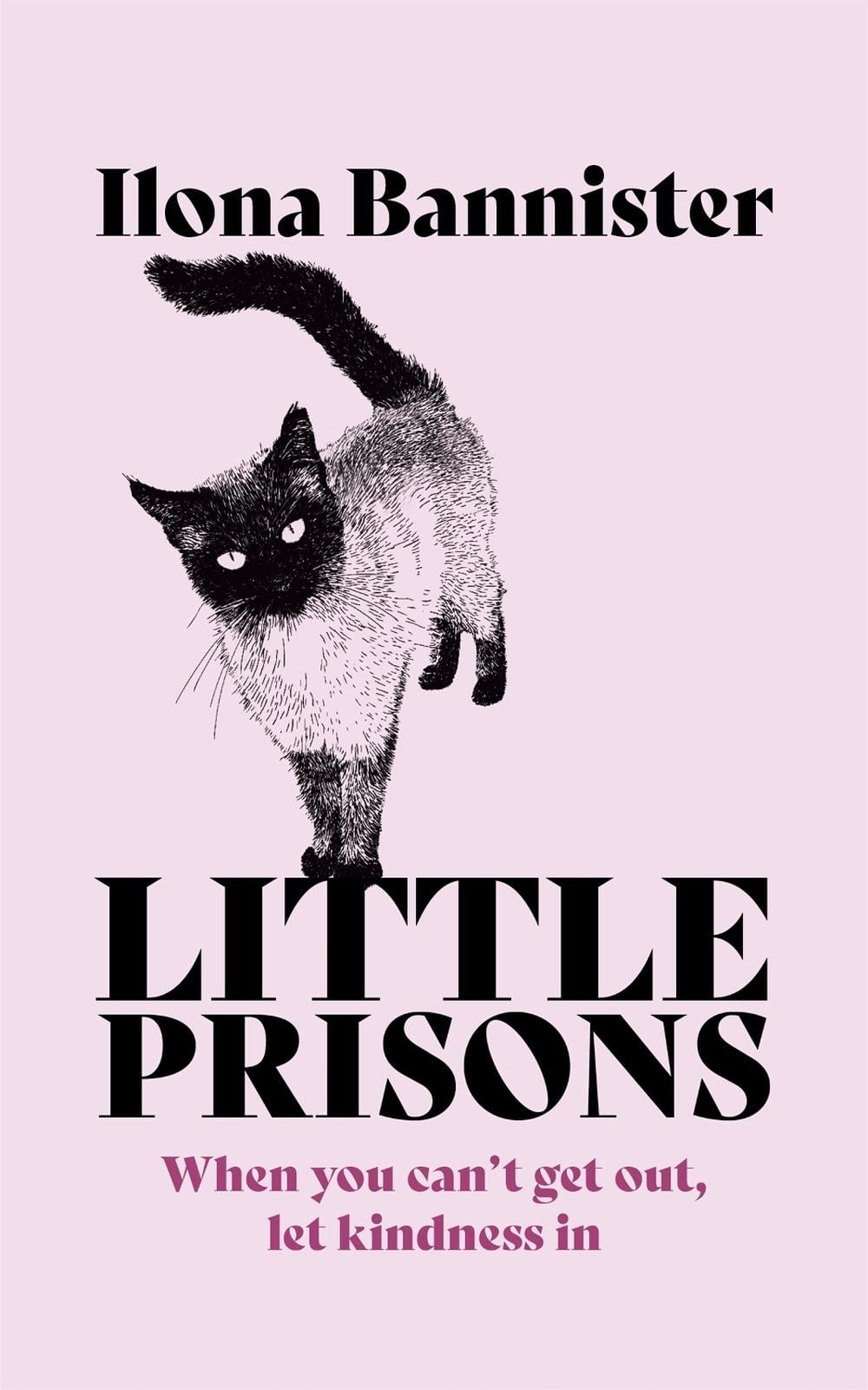 Little Prisons by Ilona Bannister - ISBN: 9781529353921