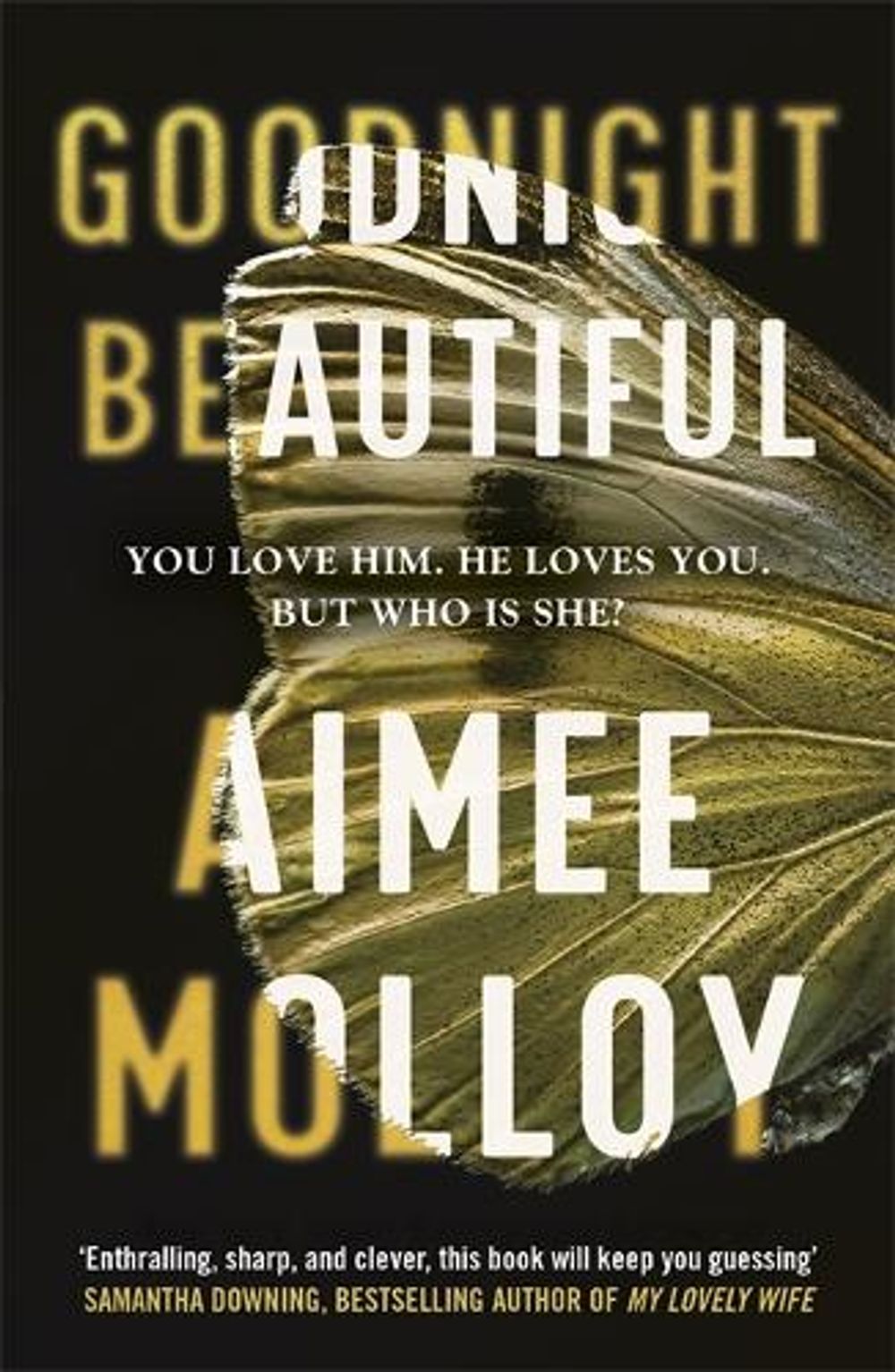Goodnight, Beautiful by Aimee Molloy - ISBN: 9781529354843
