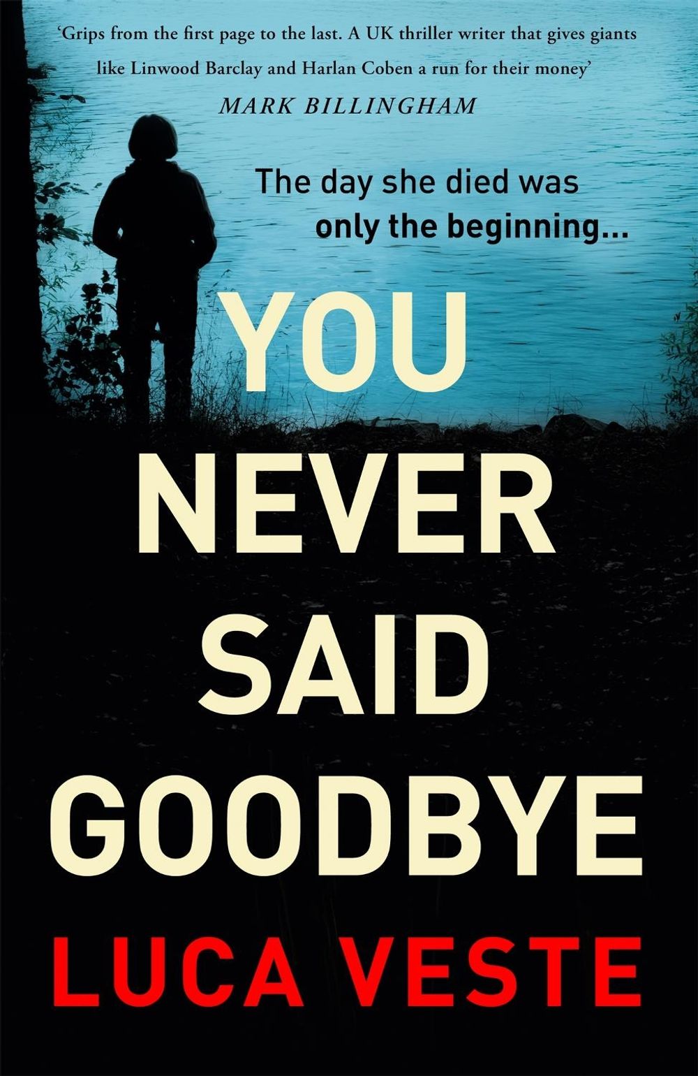 You Never Said Goodbye by Luca Veste - ISBN: 9781529357332