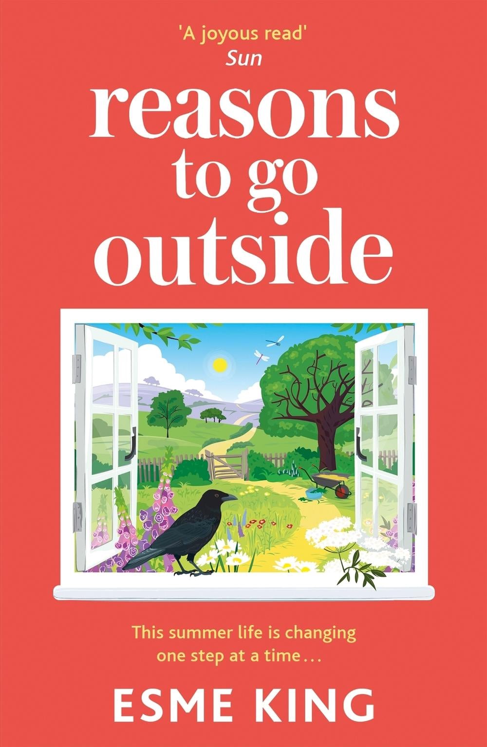 Reasons To Go Outside by Esme King - ISBN: 9781529362862