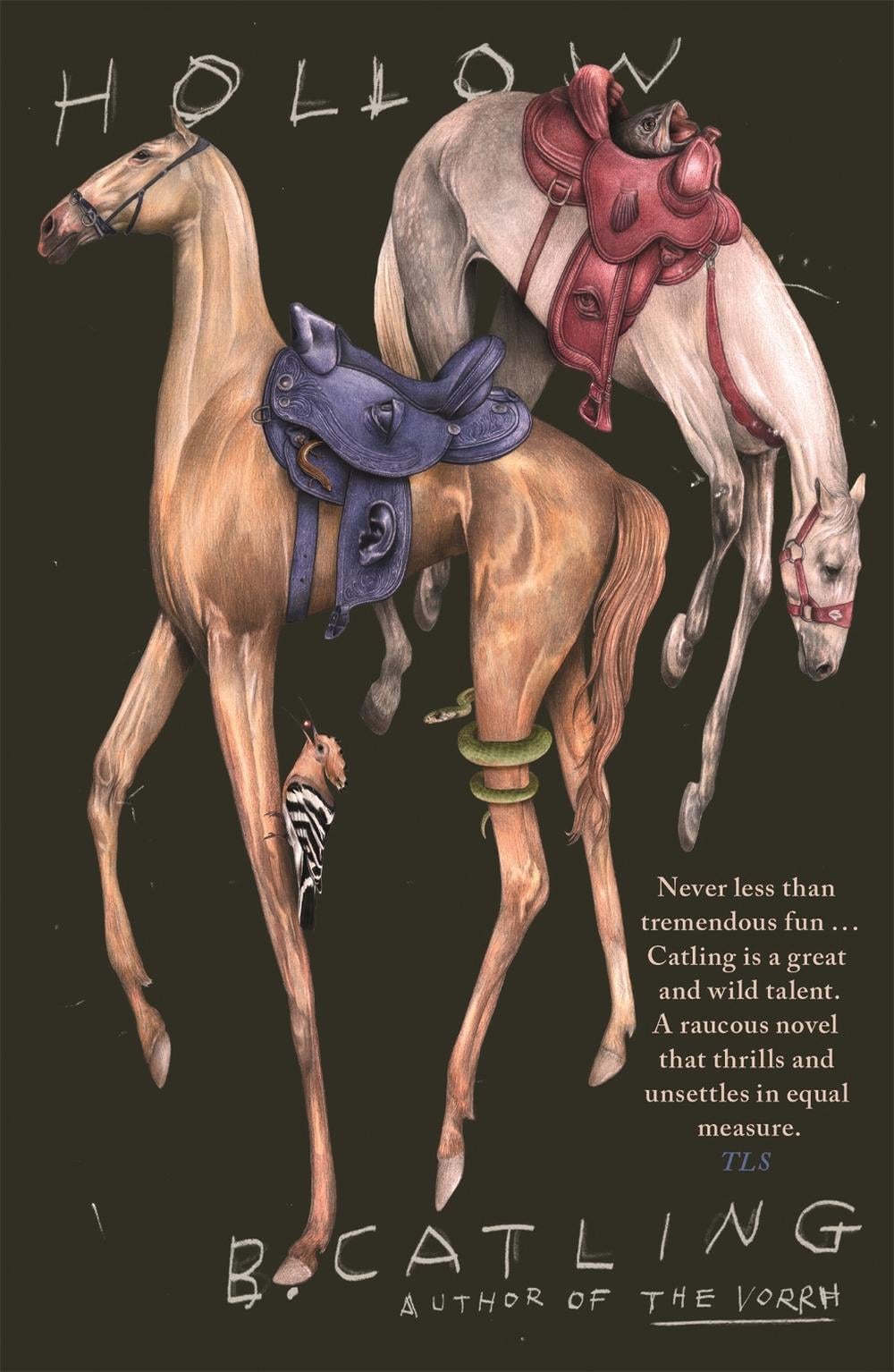 Hollow by Brian Catling - ISBN: 9781529366464