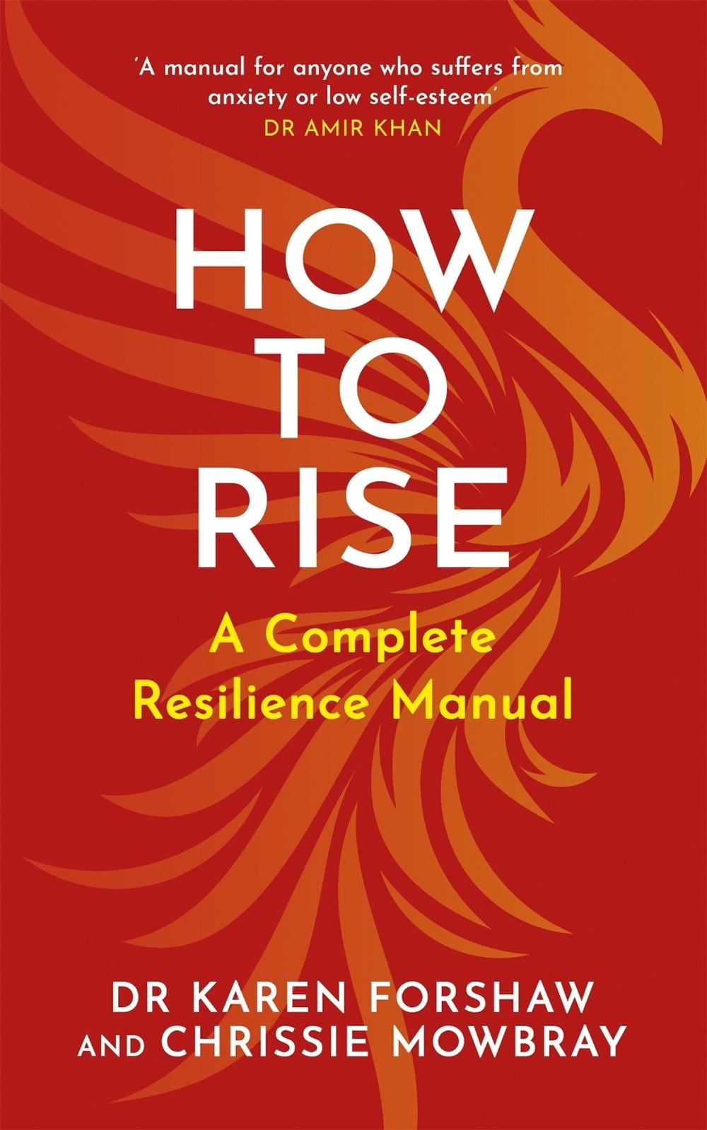 How to Rise by Chrissie Mowbray - ISBN: 9781529370119