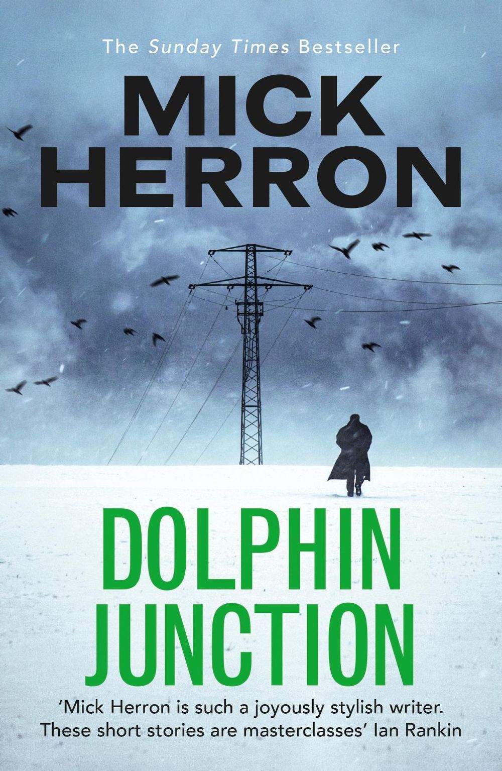 Dolphin Junction by Mick Herron - ISBN: 9781529371284