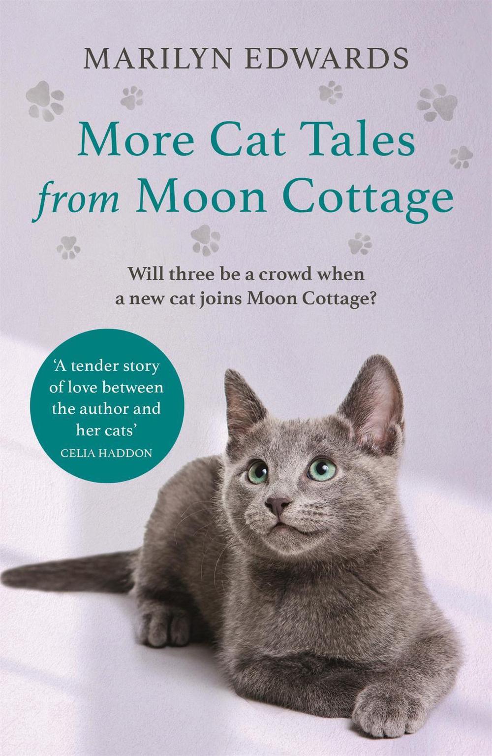 More Cat Tales From Moon Cottage by Marilyn Edwards - ISBN: 9781529373462