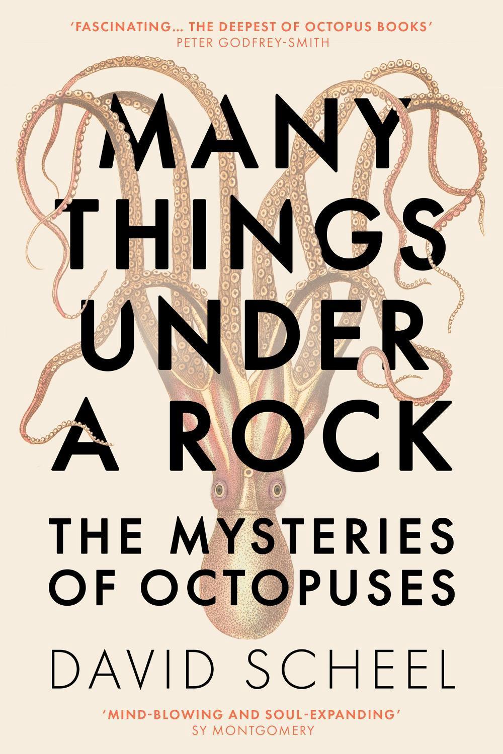 Many Things Under a Rock by David Scheel - ISBN: 9781529392609