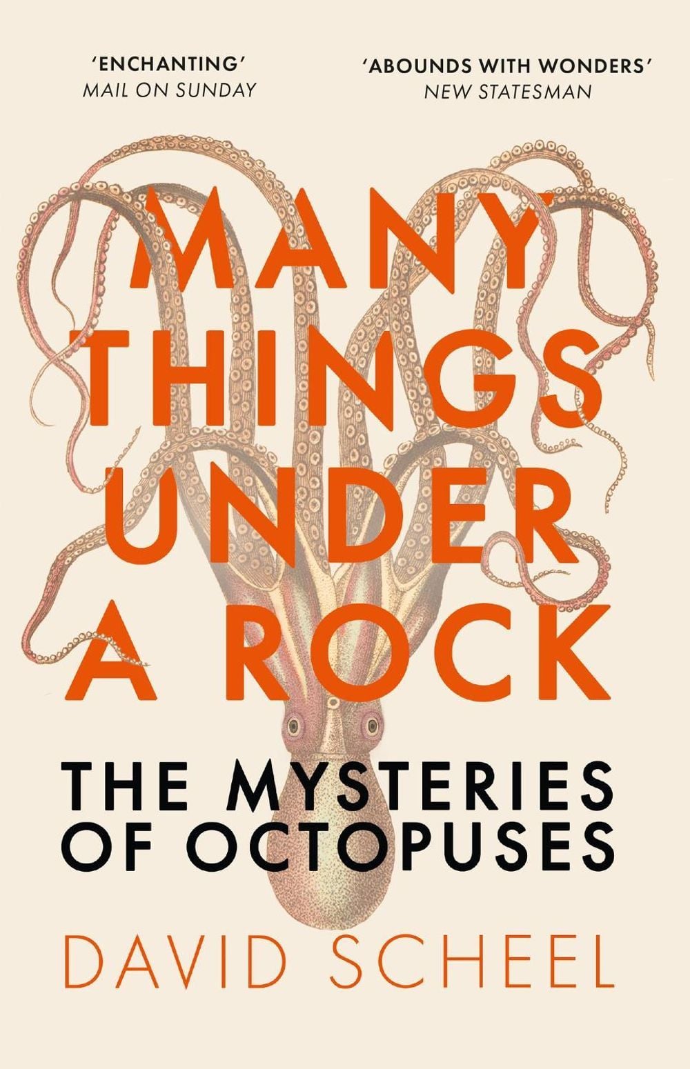 Many Things Under a Rock by David Scheel - ISBN: 9781529392647