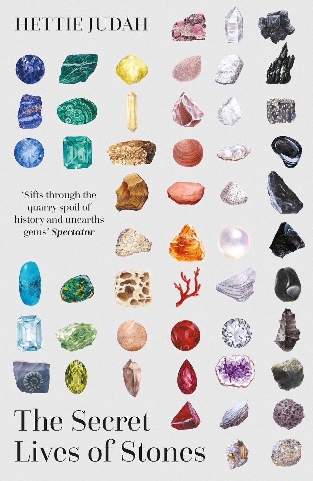 The Secret Lives of Stones, 9781529394955