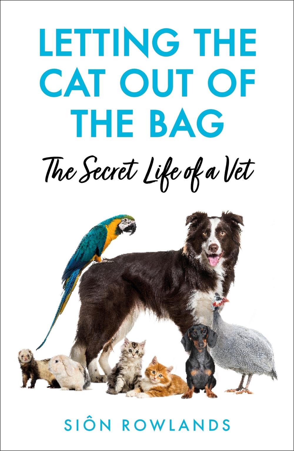 Letting the Cat Out of the Bag by Siôn Rowlands - ISBN: 9781529395235