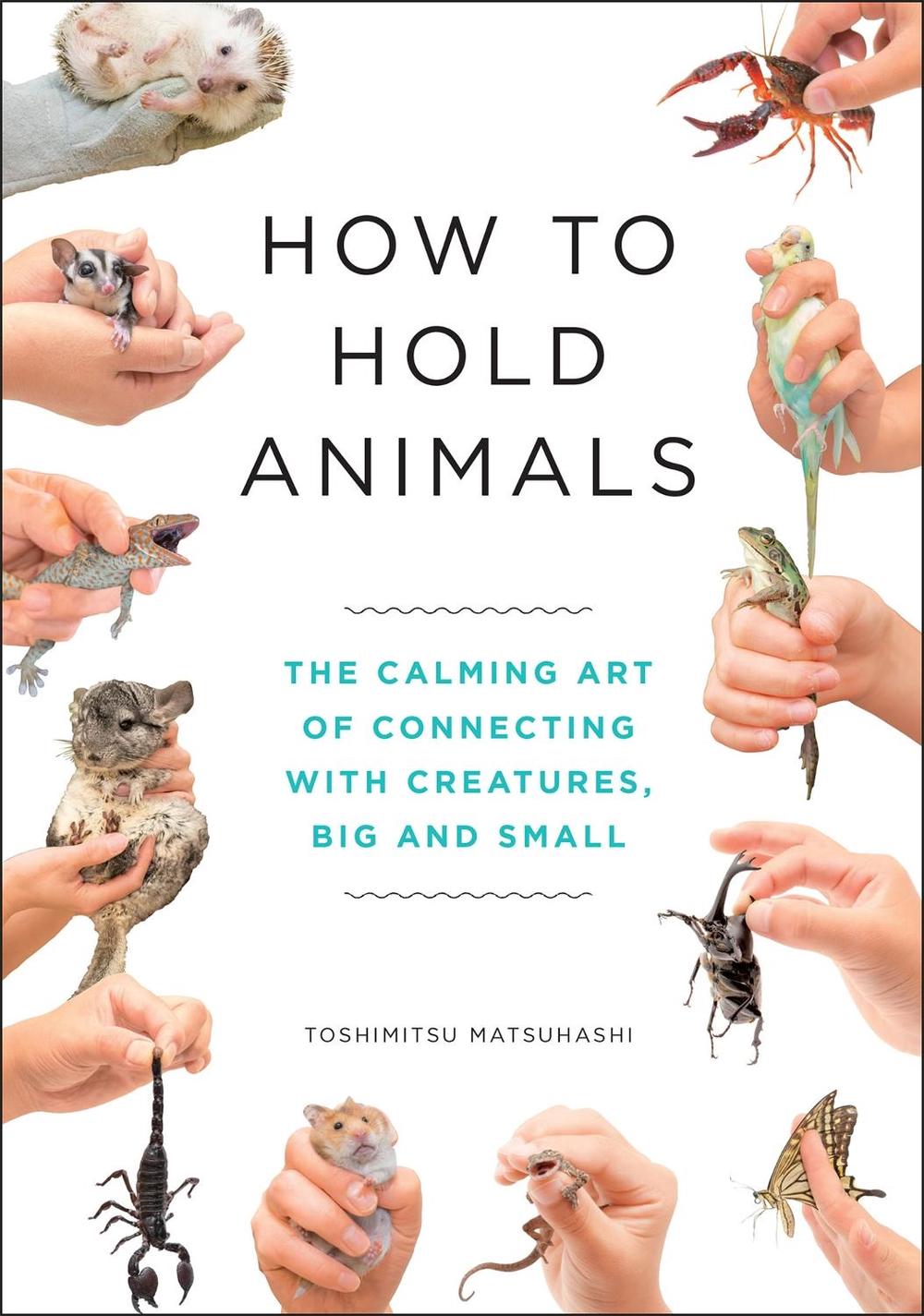How to Hold Animals, 9781529404531