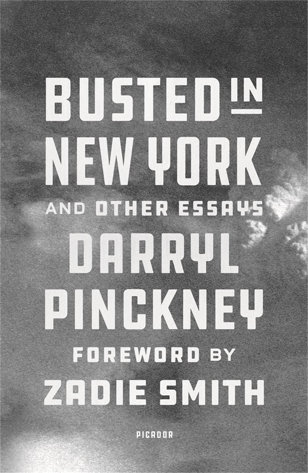 Busted in New York & Other Essays by Darryl Pinckney - ISBN: 9781529413748