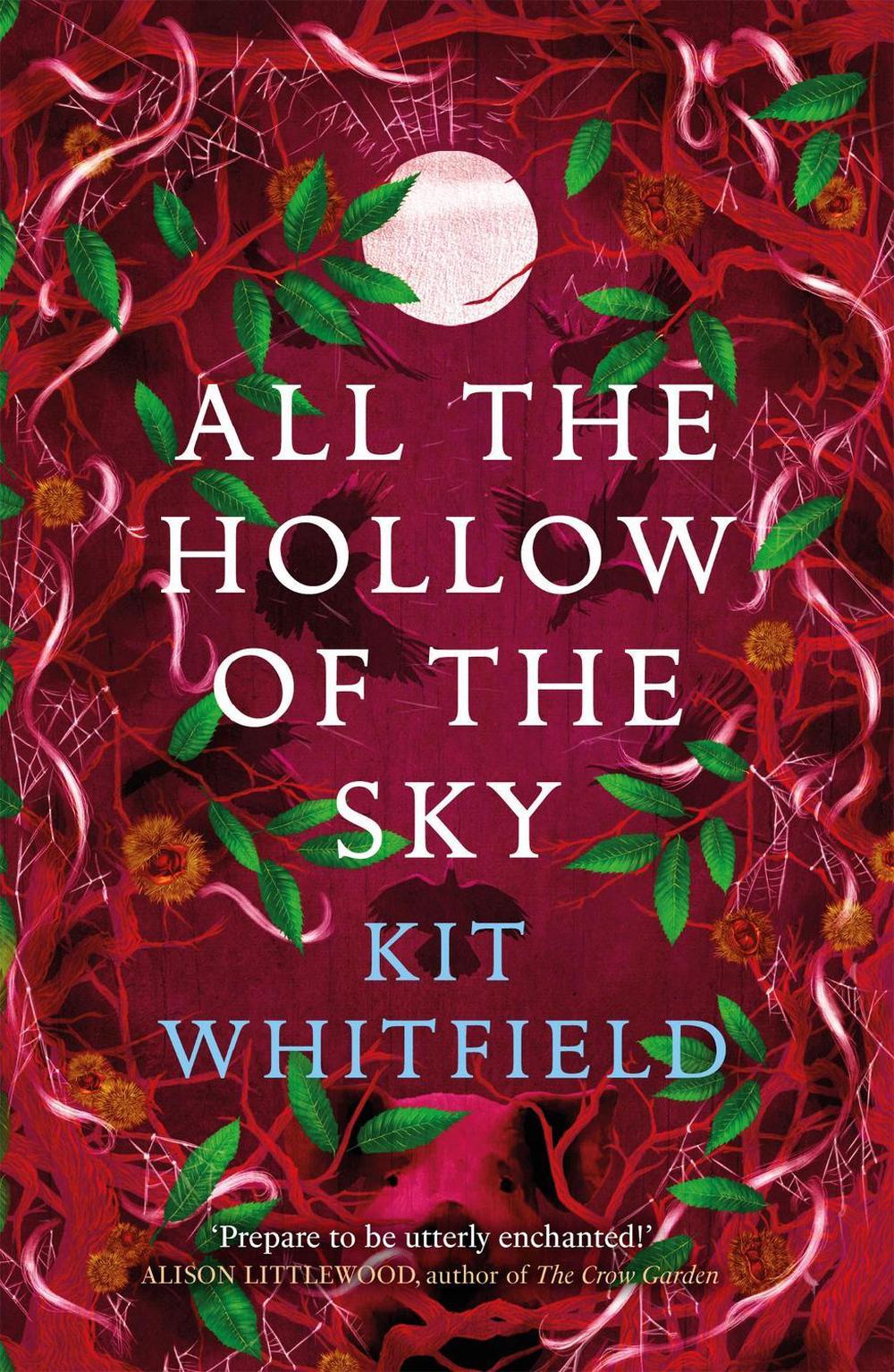 All the Hollow of the Sky by Kit Whitfield - ISBN: 9781529414950