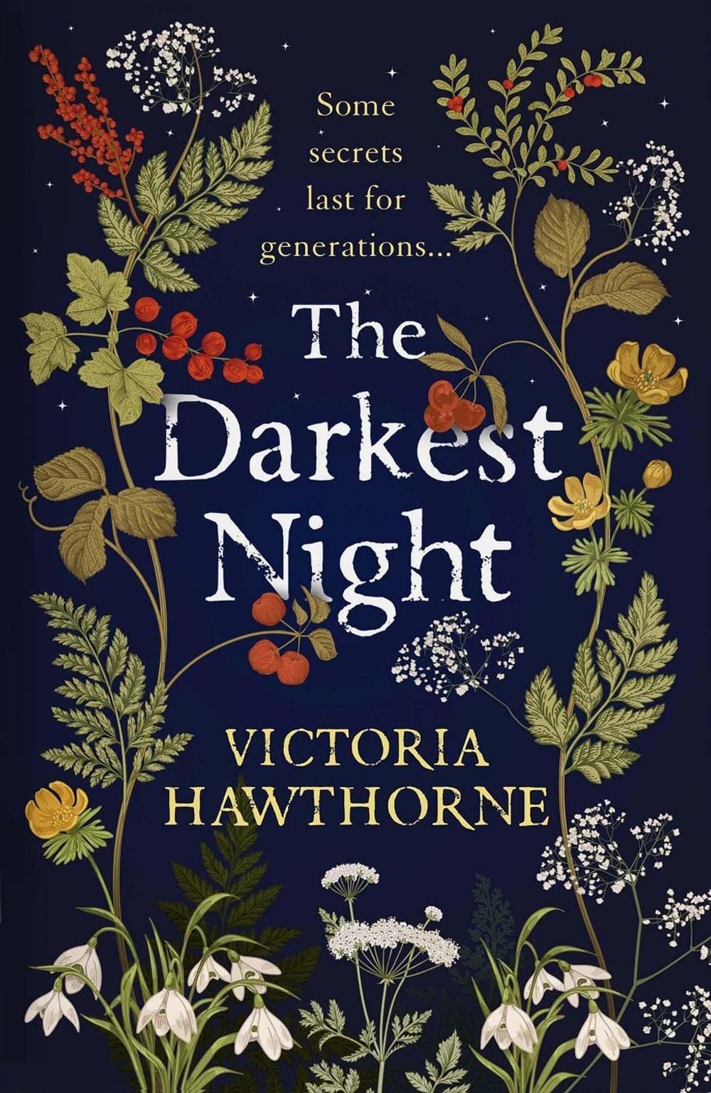The Darkest Night by Victoria Hawthorne - ISBN: 9781529418521