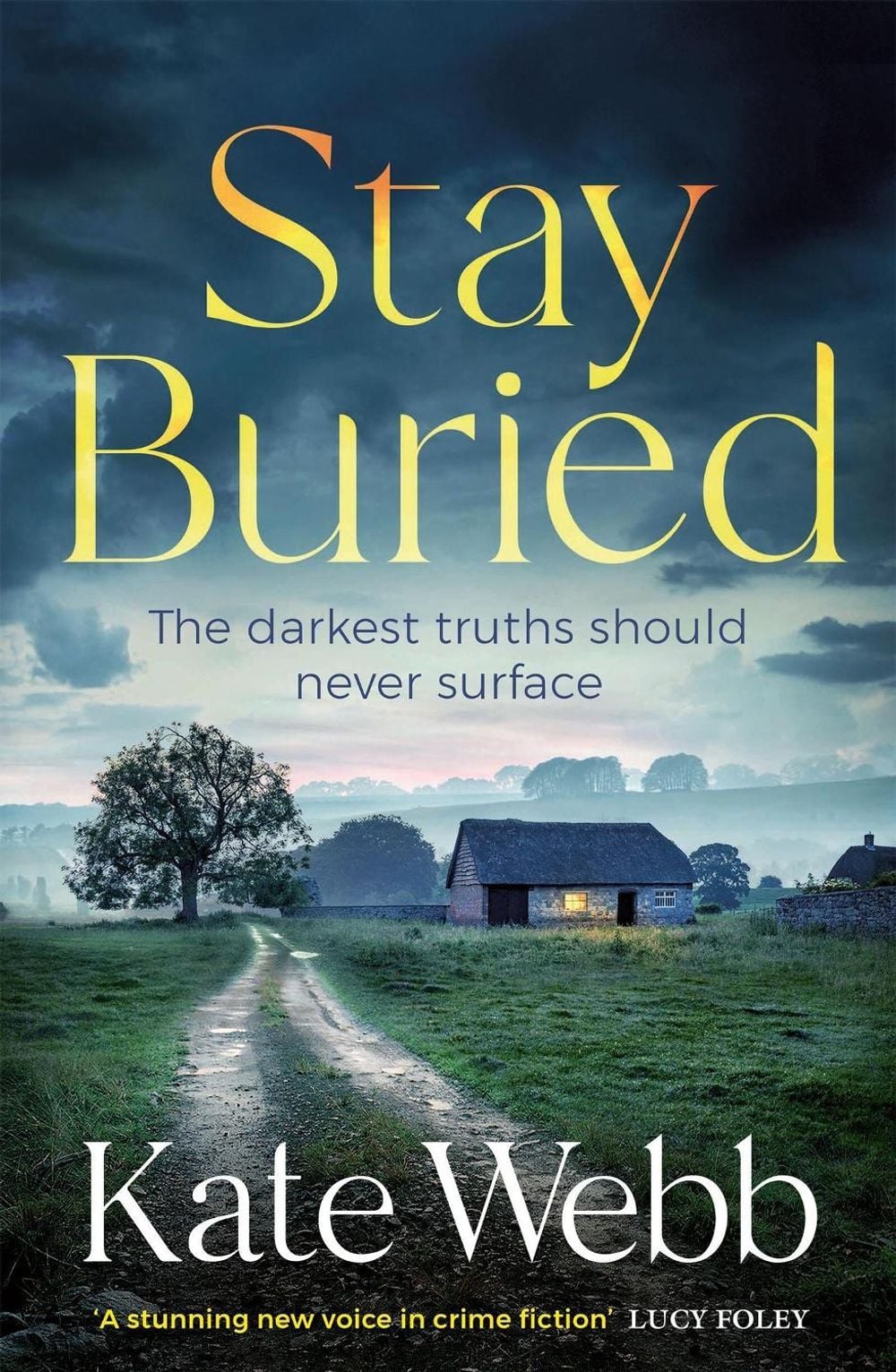 Stay Buried by Kate Webb - ISBN: 9781529421279