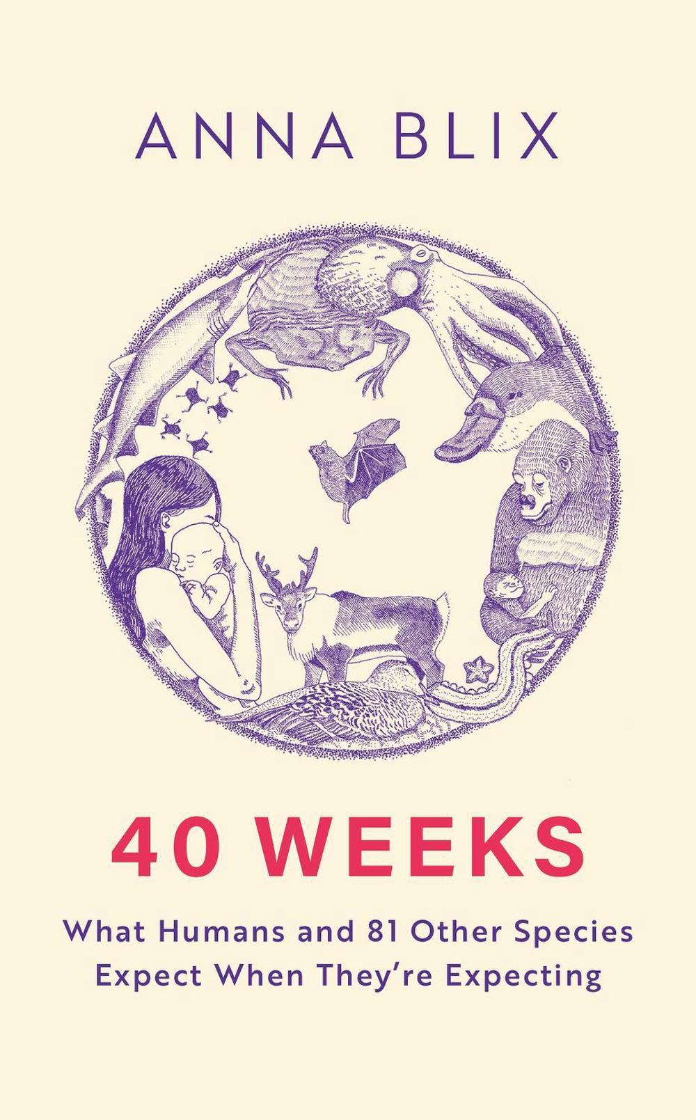 40 Weeks, 9781529434811