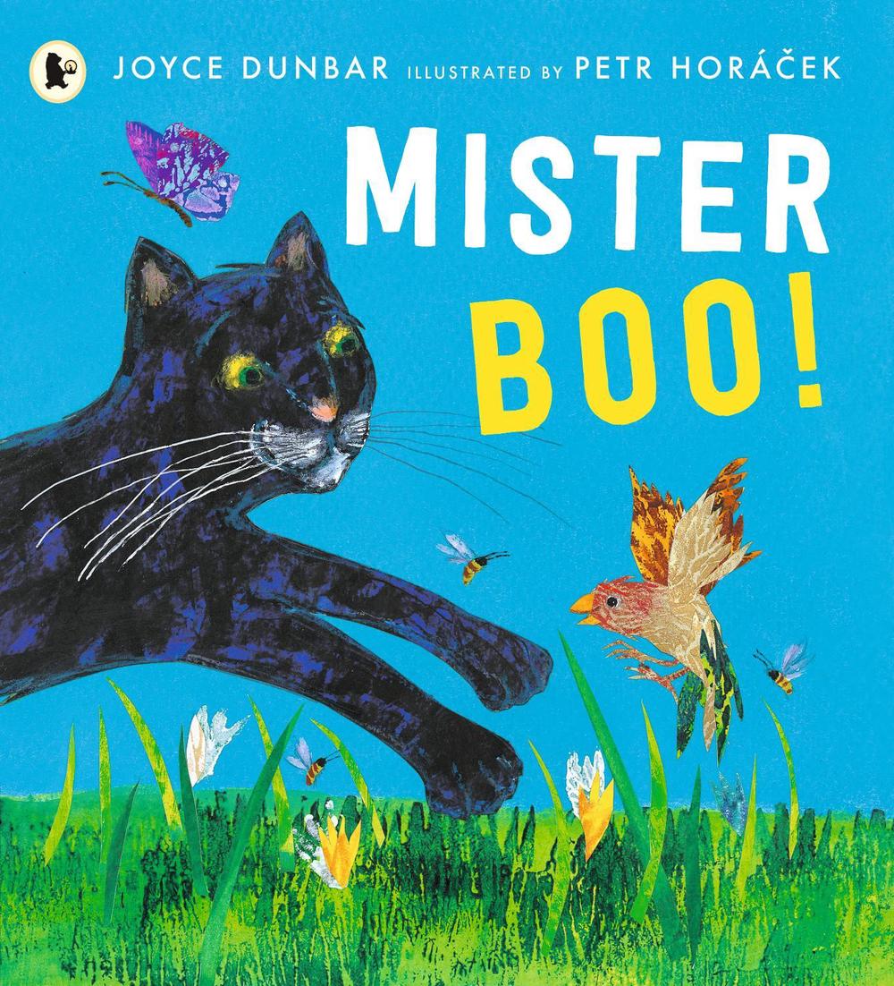 Mister Boo!, 9781529504071
