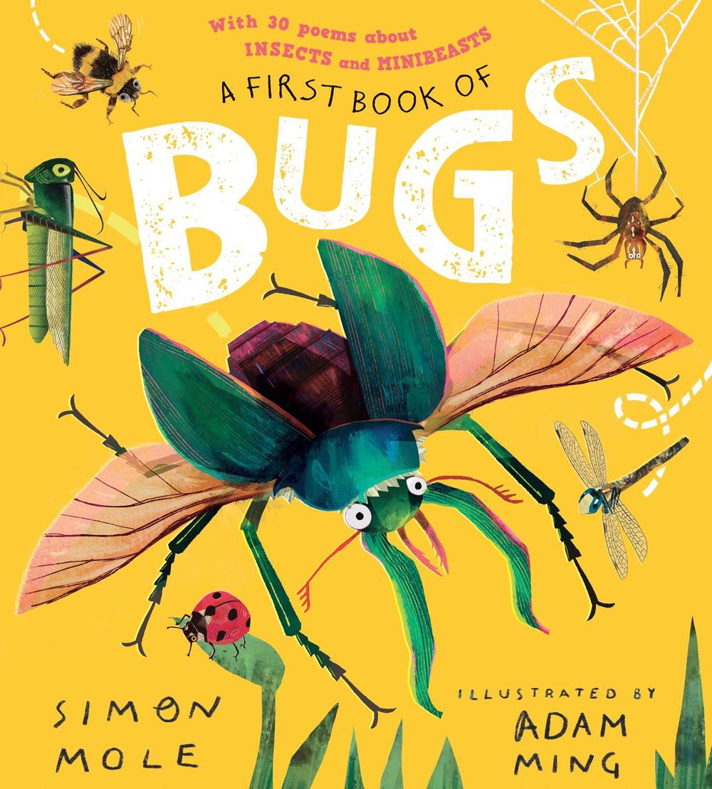 A First Book of Bugs: with 30 poems about insects and minibeasts, 9781529507546